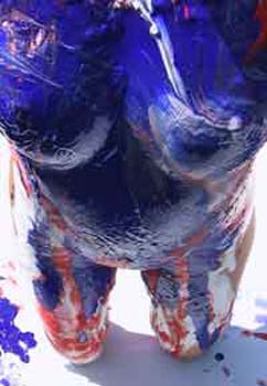 INDIFERENCIAS OPACAS