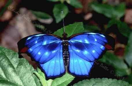 UNA GOTA EN TU MIRADA