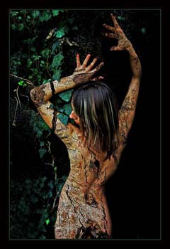 DEL OLVIDO AL RECUERDO