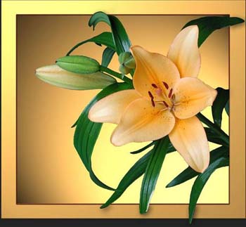 ENFERMO DE AUSENCIAS